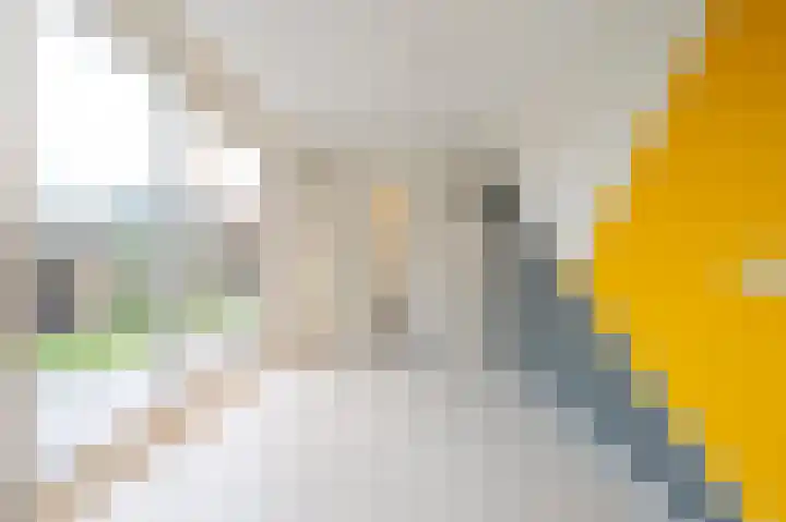 Zonstraat 31 De Meern thumbnail 12