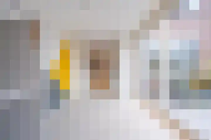 Zonstraat 31 De Meern thumbnail 13