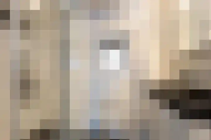 Zonstraat 31 De Meern thumbnail 27