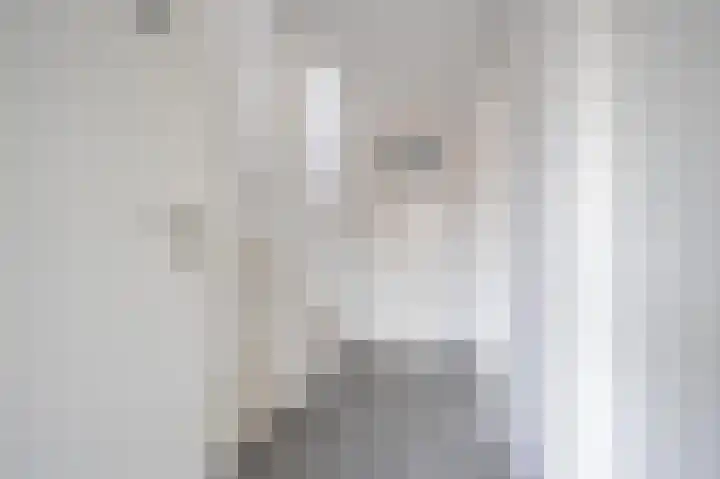 Zonstraat 31 De Meern thumbnail 31