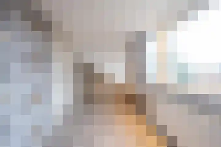 Zonstraat 31 De Meern thumbnail 37