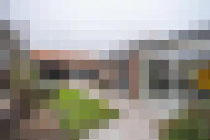 Zonstraat 31 De Meern thumbnail 39