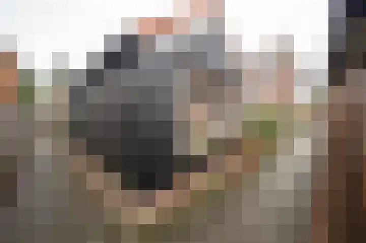 Zonstraat 31 De Meern thumbnail 43