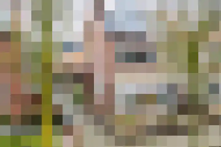 Zonstraat 31 De Meern thumbnail 47