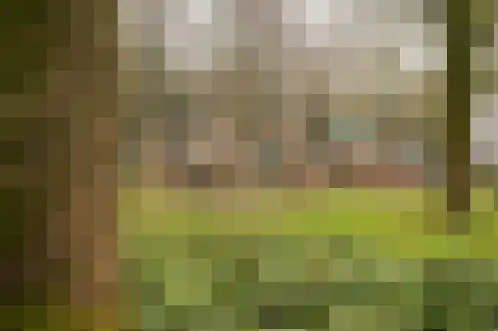 Zonstraat 31 De Meern thumbnail 48