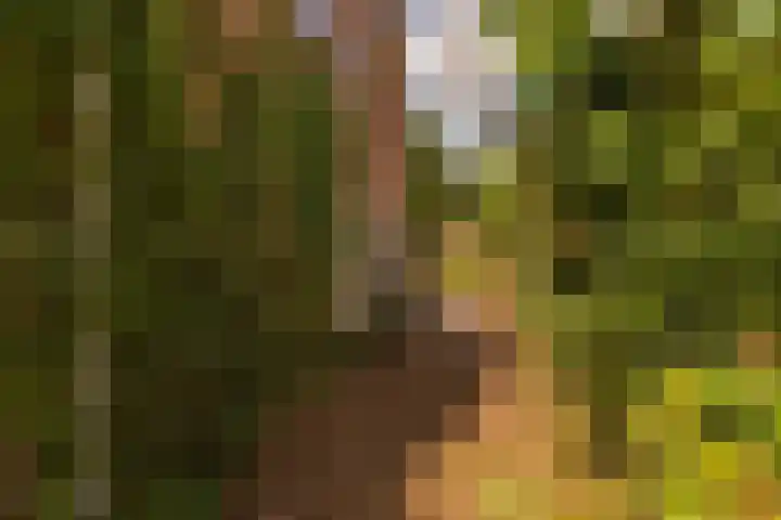 Zonstraat 31 Driebergen-Rijsenburg thumbnail 22