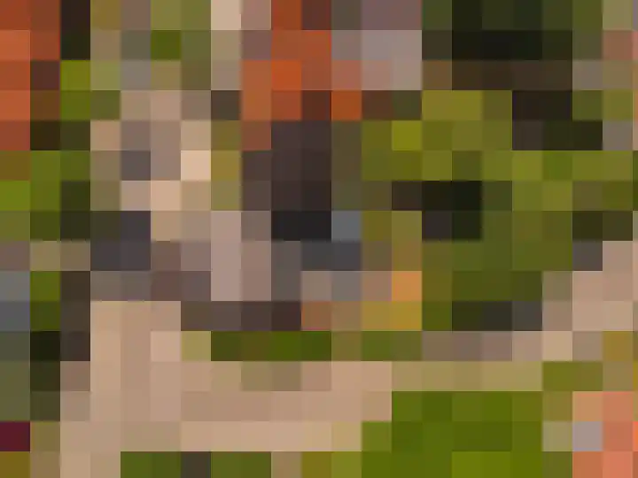 Zonstraat 31 Driebergen-Rijsenburg thumbnail 24