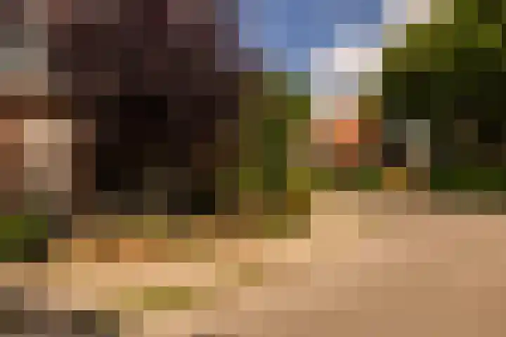 Zonstraat 31 Driebergen-Rijsenburg thumbnail 26