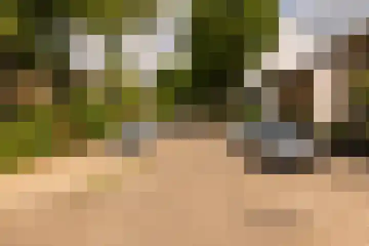 Zonstraat 31 Driebergen-Rijsenburg thumbnail 27