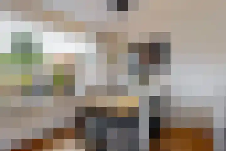 Zonstraat 33 De Meern thumbnail 10
