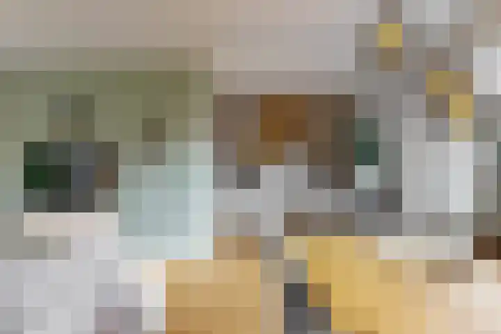 Zonstraat 33 De Meern thumbnail 11