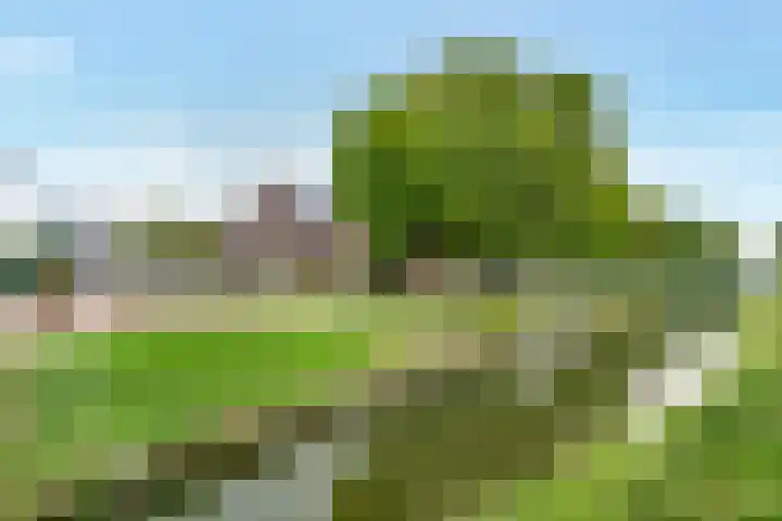 Zonstraat 33 De Meern thumbnail 34