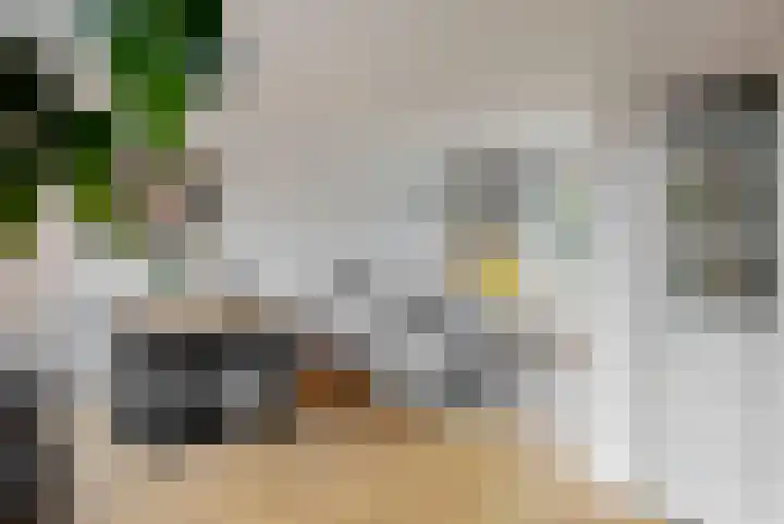 Zonstraat 33 De Meern thumbnail 6