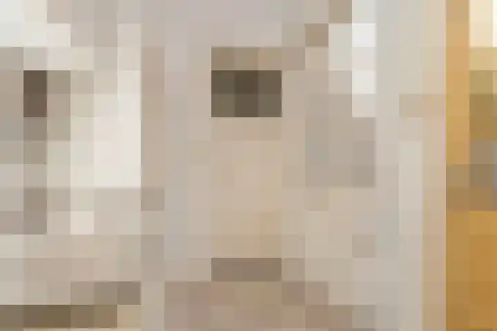 Zonstraat 42 Utrecht thumbnail 10