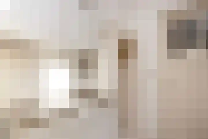Zonstraat 42 Utrecht thumbnail 11