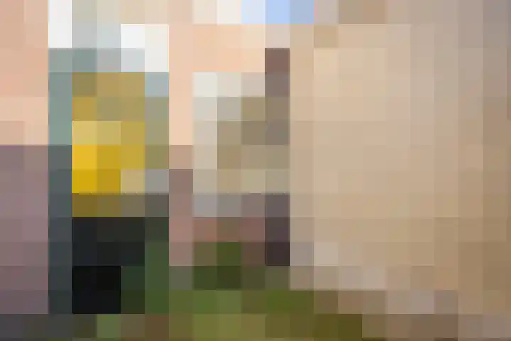 Zonstraat 42 Utrecht thumbnail 13