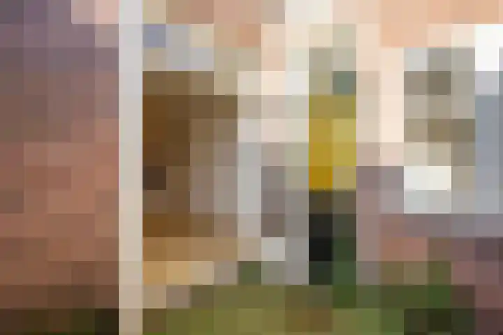 Zonstraat 42 Utrecht thumbnail 14