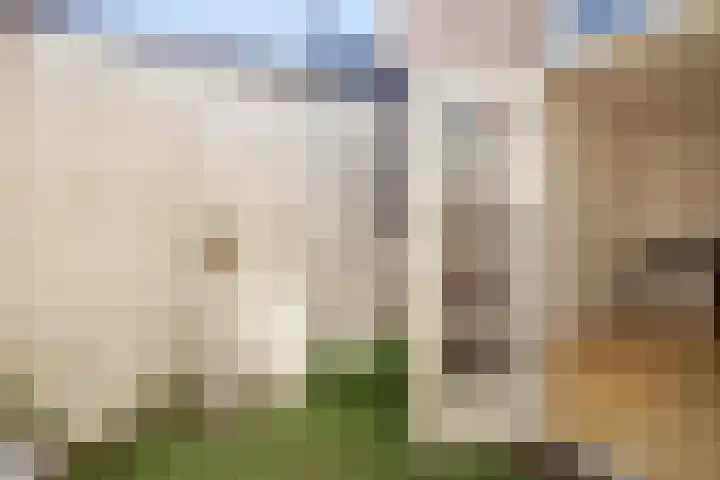 Zonstraat 42 Utrecht thumbnail 15
