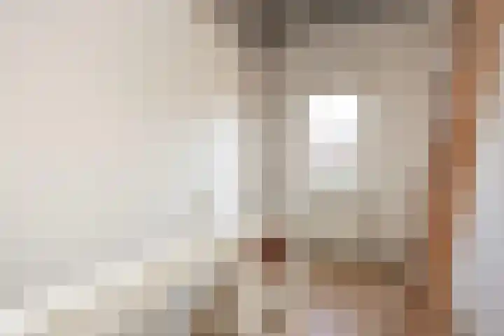 Zonstraat 42 Utrecht thumbnail 23
