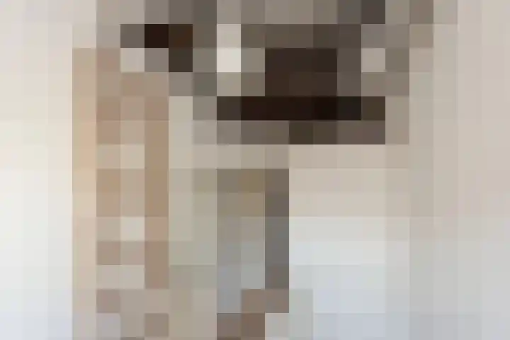 Zonstraat 42 Utrecht thumbnail 24
