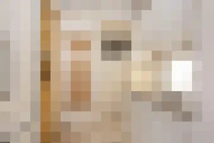 Zonstraat 42 Utrecht thumbnail 9