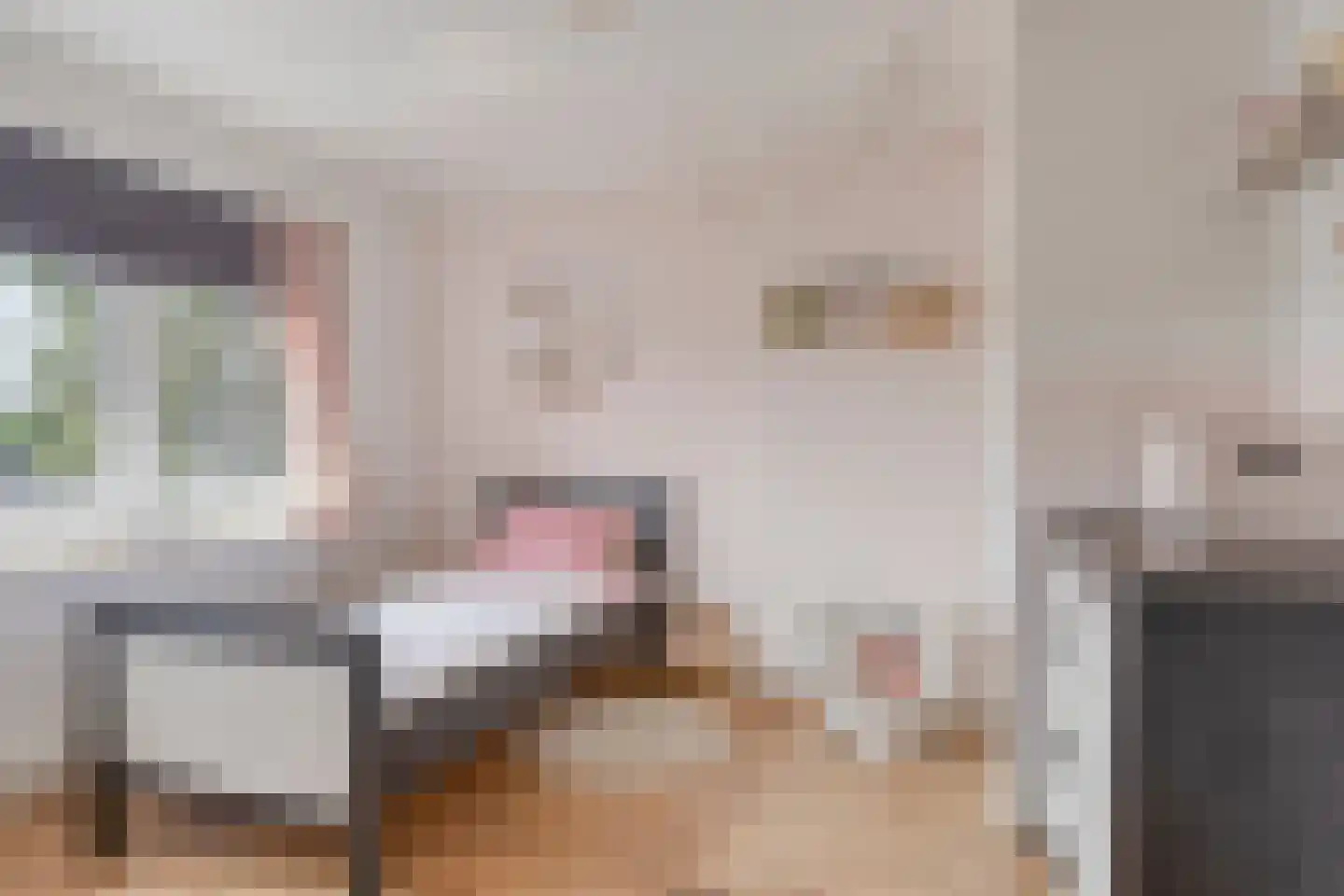 Zonstraat 43 Hengelo thumbnail 27