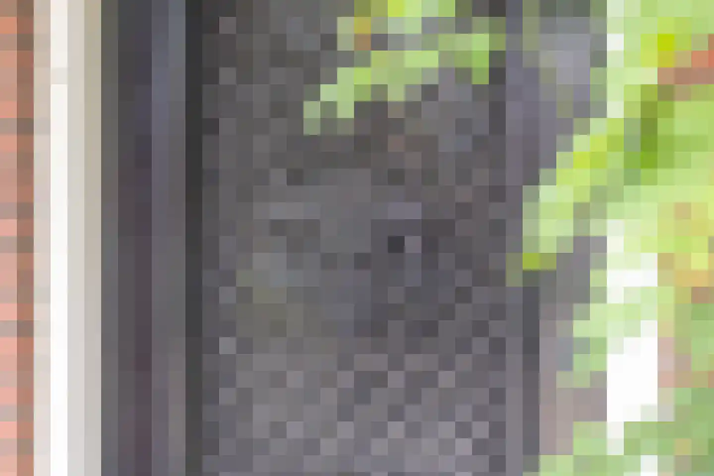 Zonstraat 43 Hengelo thumbnail 8