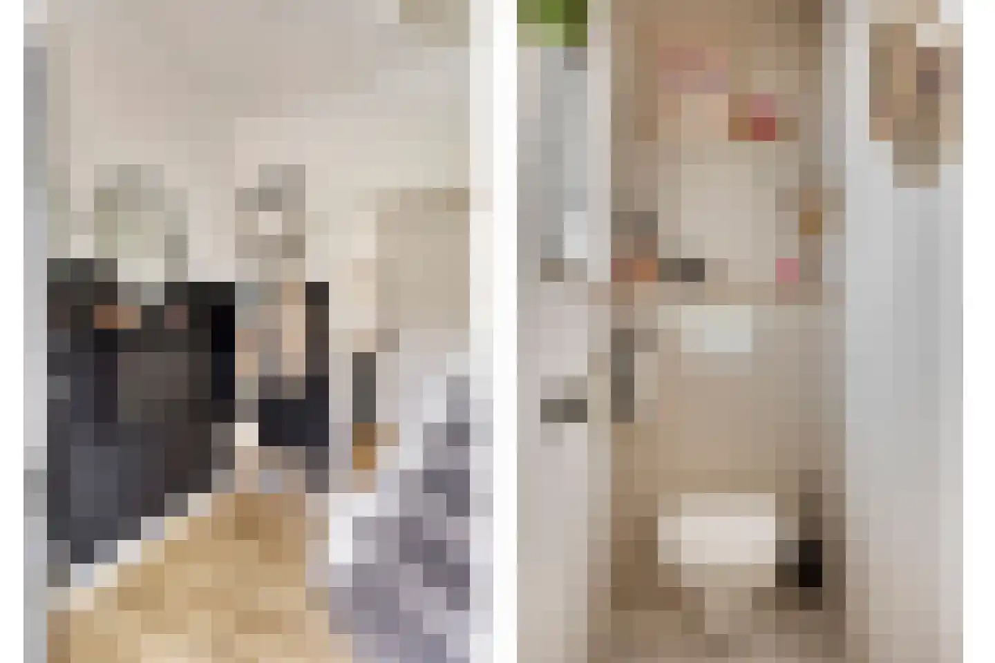Zonstraat 43 Hengelo thumbnail 9
