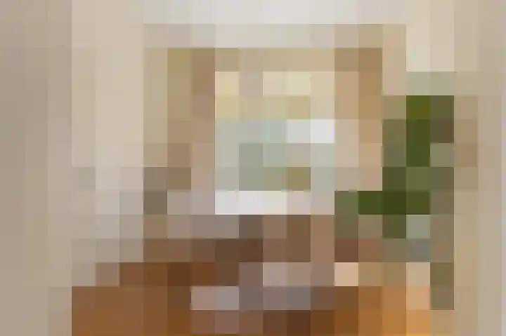 Zonstraat 50 Utrecht thumbnail 13