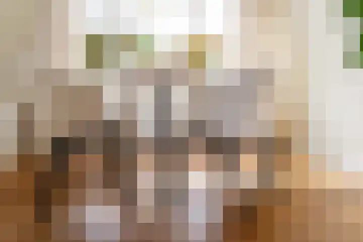 Zonstraat 50 Utrecht thumbnail 17