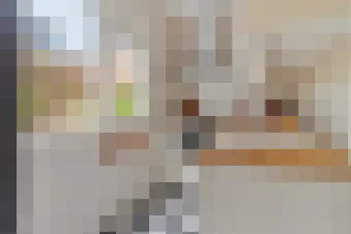 Zonstraat 50 Utrecht thumbnail 18