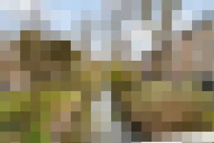 Zonstraat 50 Utrecht thumbnail 30
