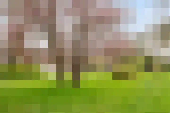 Zonstraat 50 Utrecht thumbnail 32