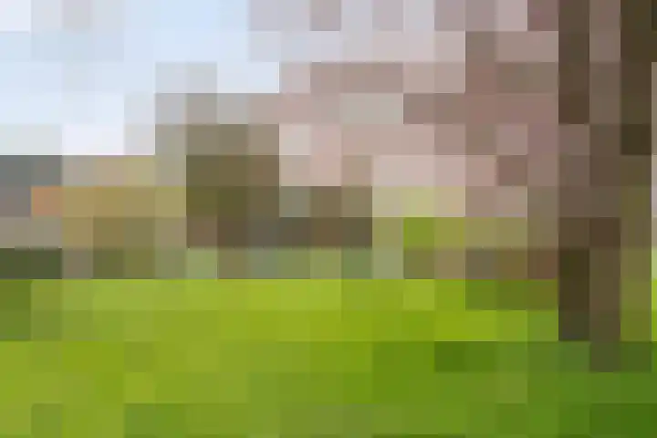 Zonstraat 50 Utrecht thumbnail 33