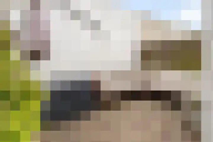 Zonstraat 50 Utrecht thumbnail 4
