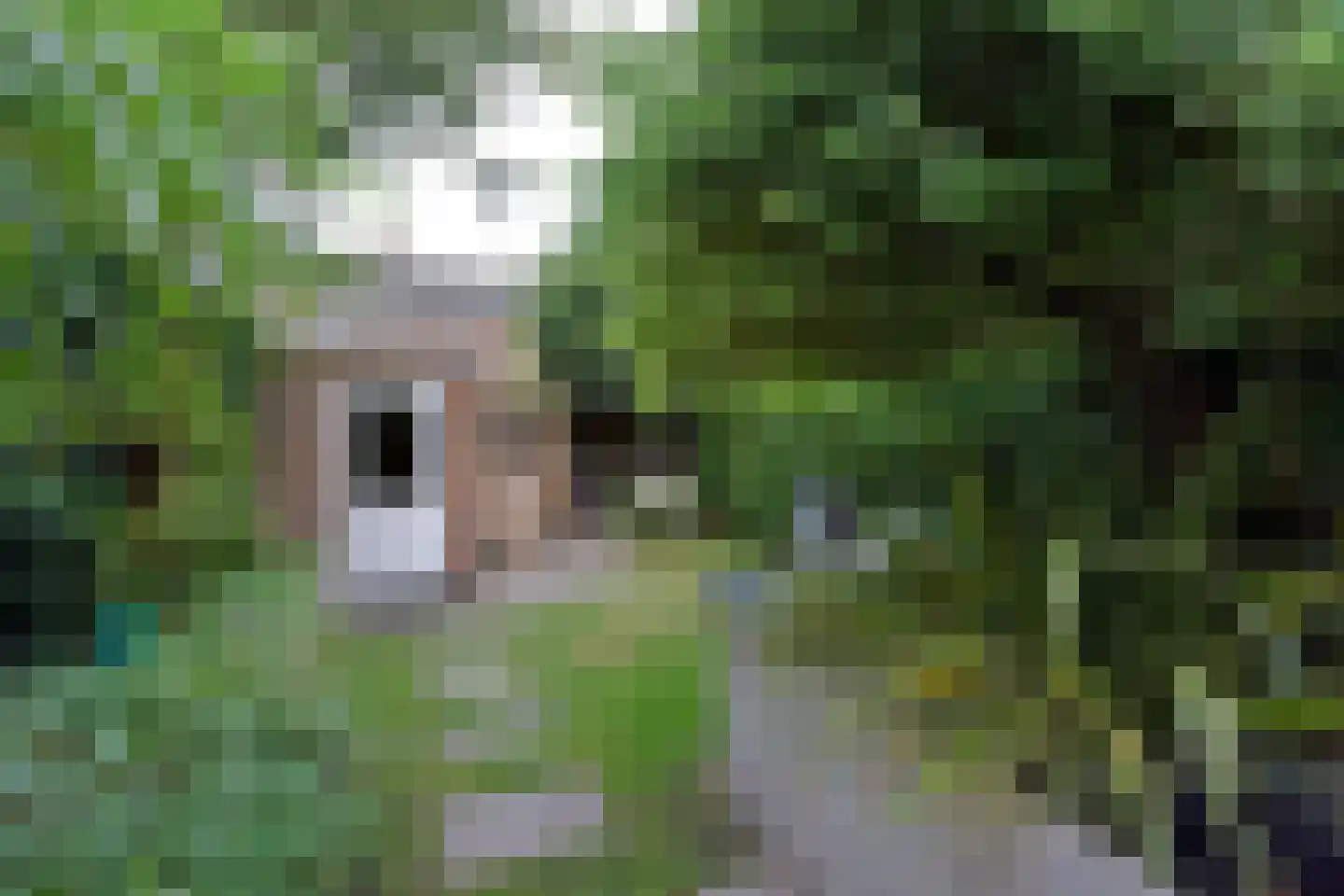 Zonstraat 51 Nijmegen thumbnail 25