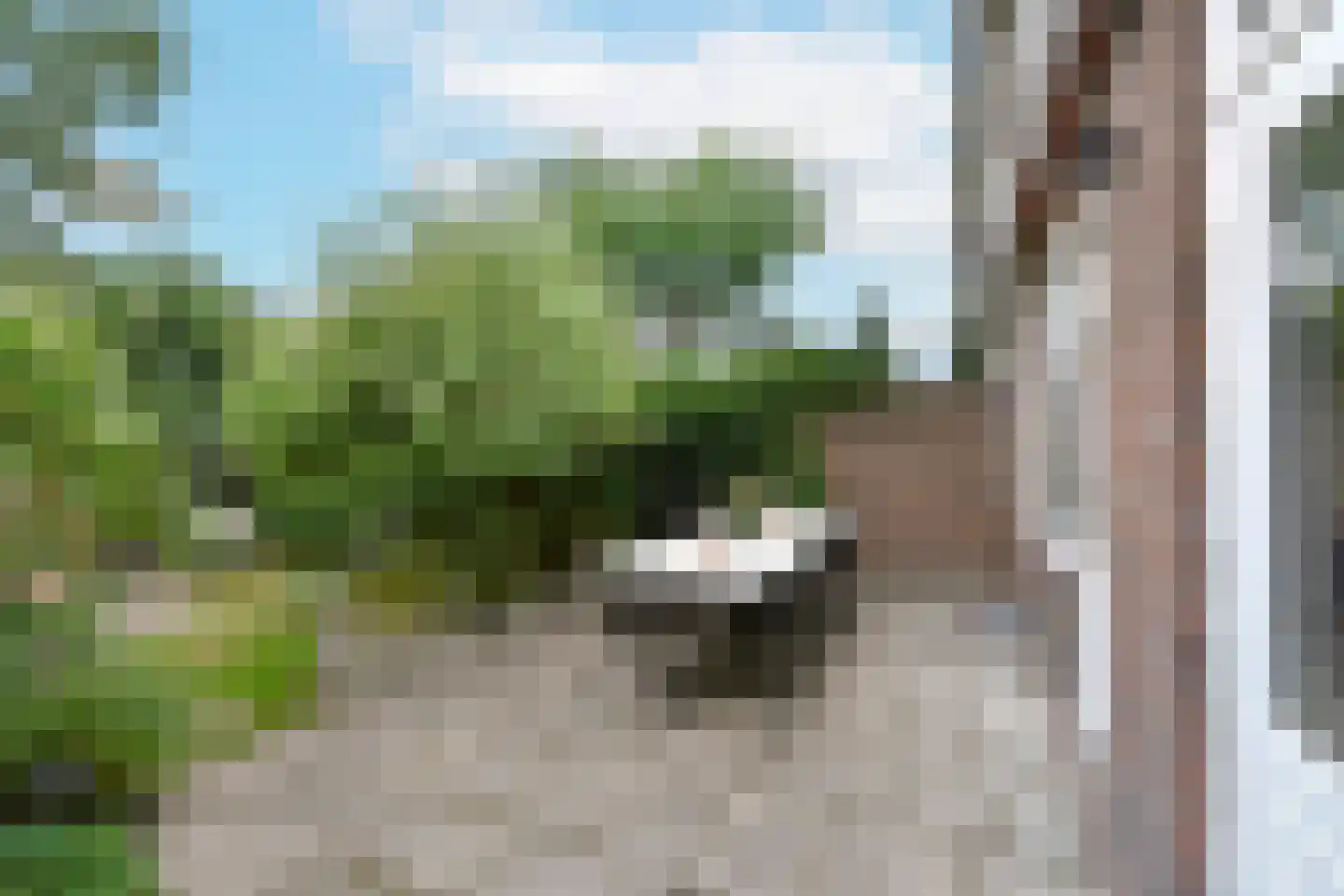 Zonstraat 51 Nijmegen thumbnail 26