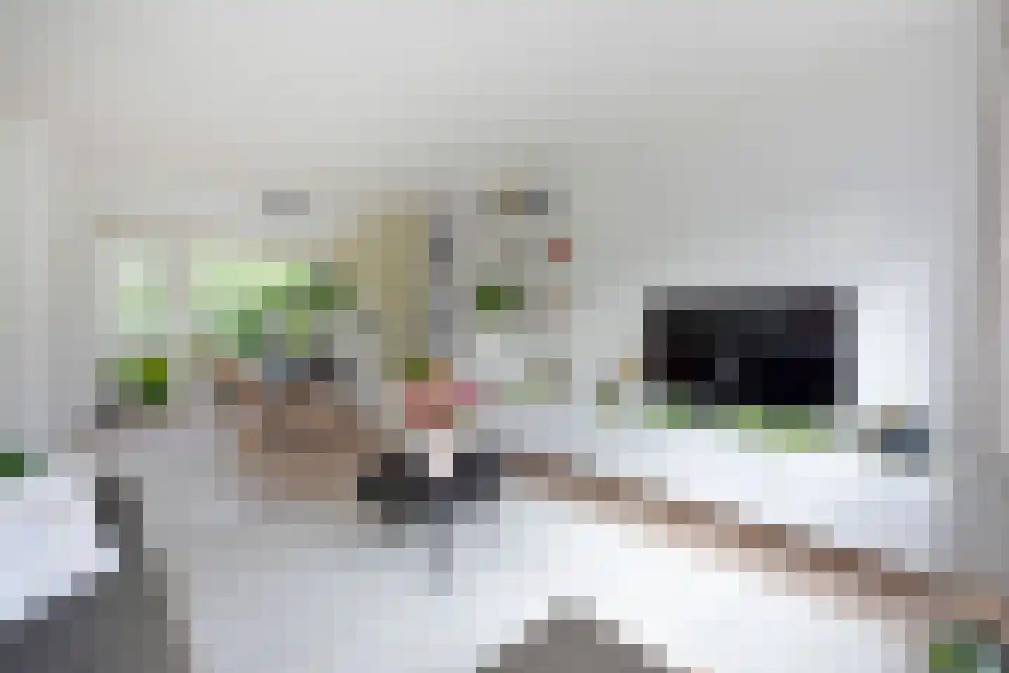 Zonstraat 51 Nijmegen thumbnail 5