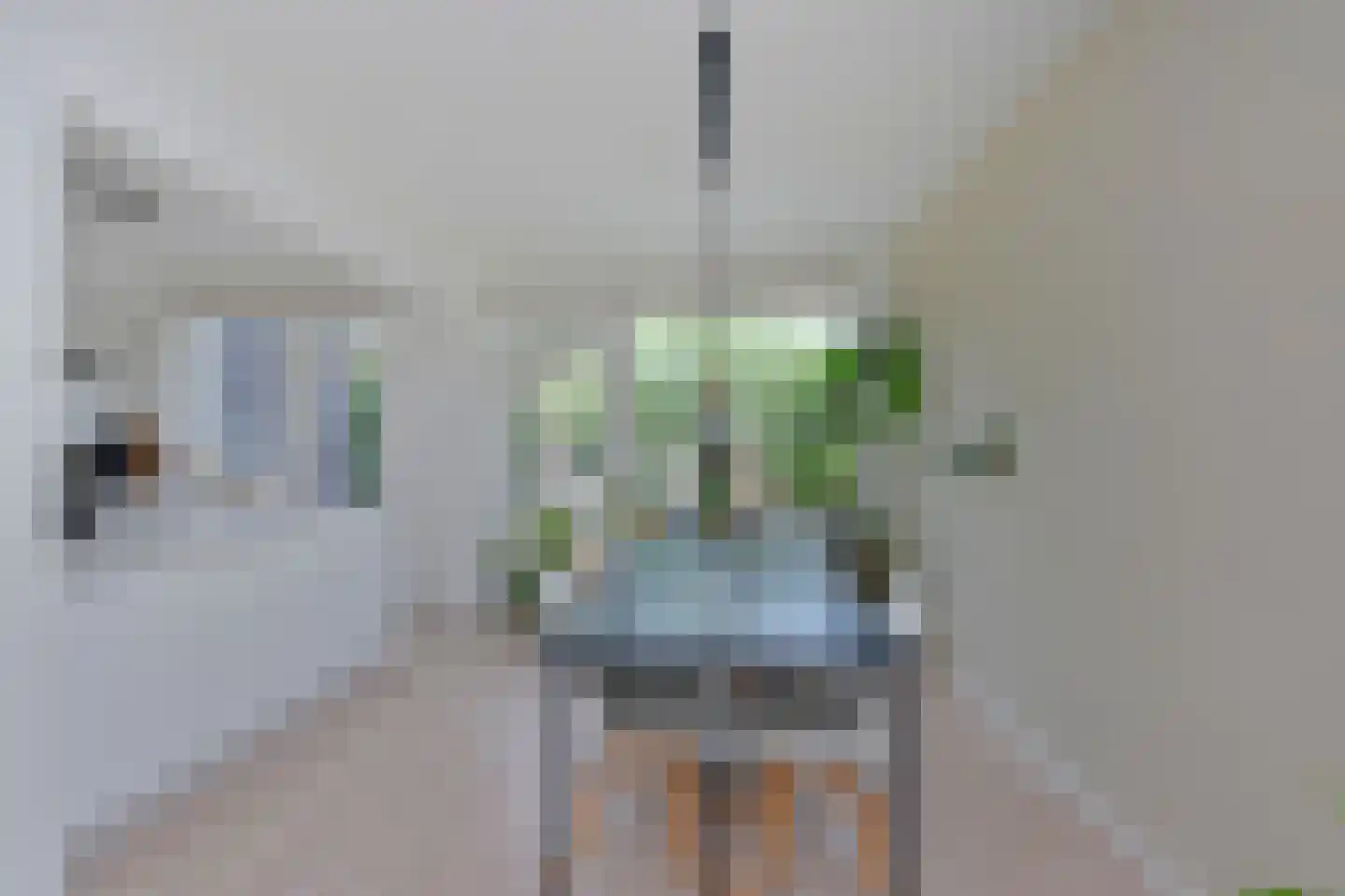 Zonstraat 51 Nijmegen thumbnail 6