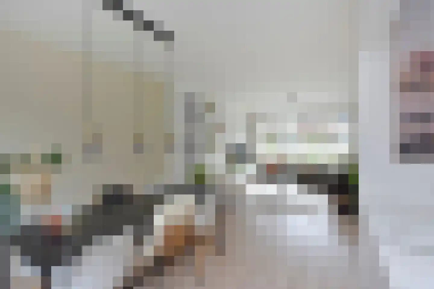 Zonstraat 51 Nijmegen thumbnail 7