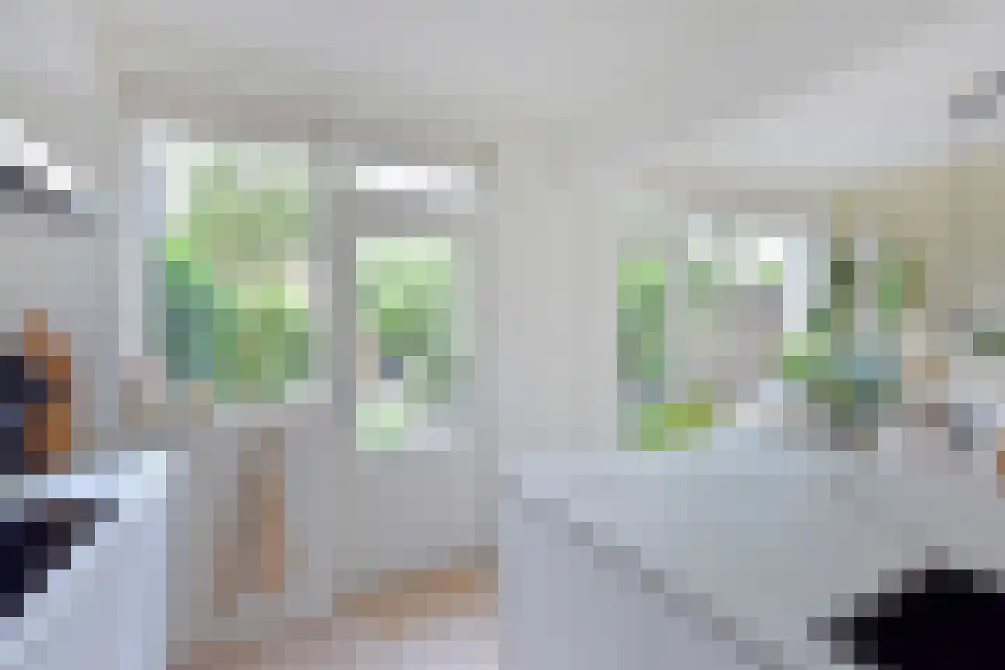 Zonstraat 51 Nijmegen thumbnail 9