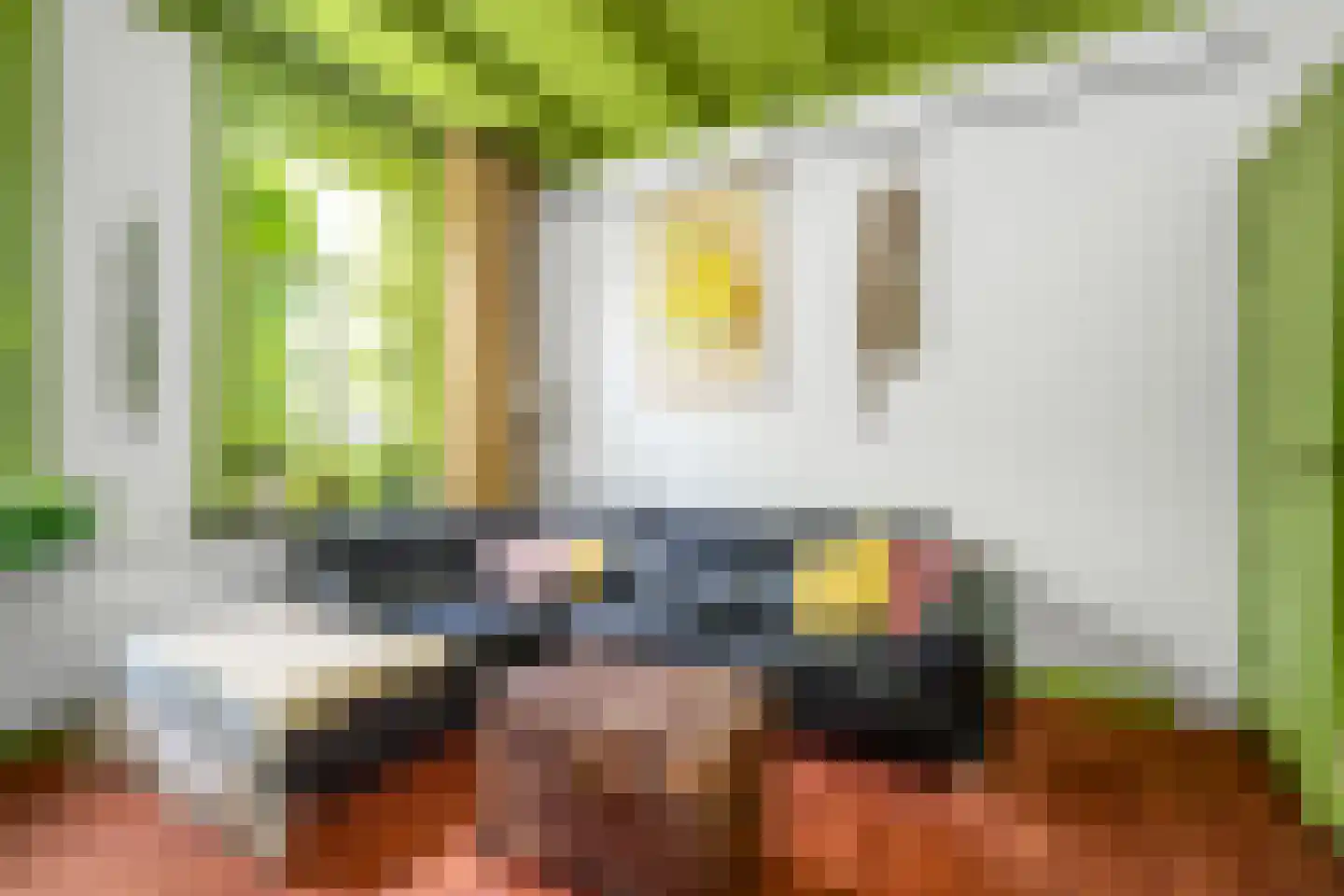 Zonstraat 52 Driebergen-Rijsenburg thumbnail 11