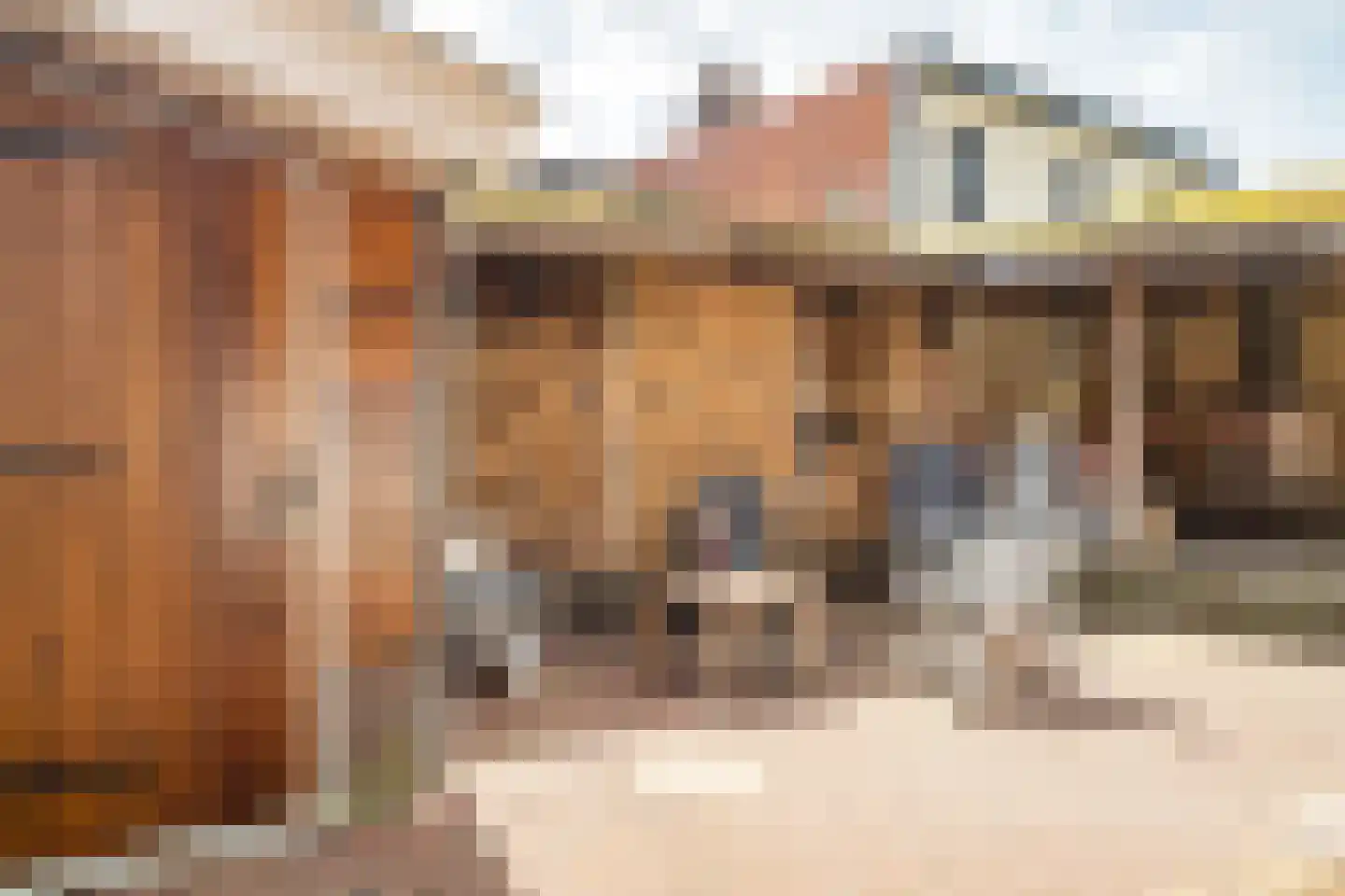 Zonstraat 52 Driebergen-Rijsenburg thumbnail 32