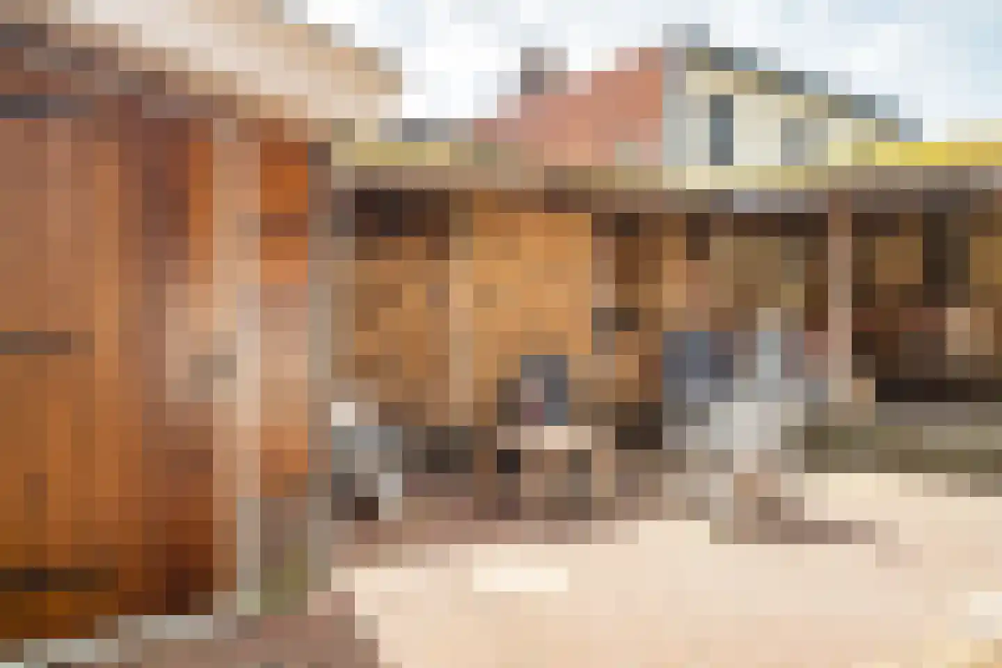 Zonstraat 52 Driebergen-Rijsenburg thumbnail 33