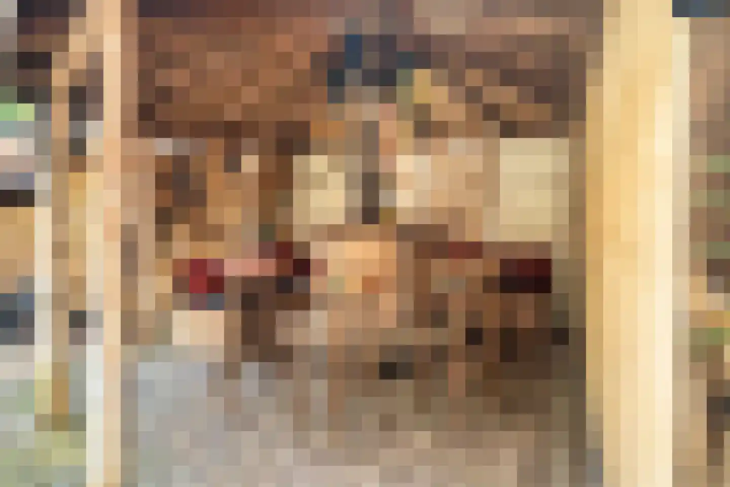 Zonstraat 52 Driebergen-Rijsenburg thumbnail 34