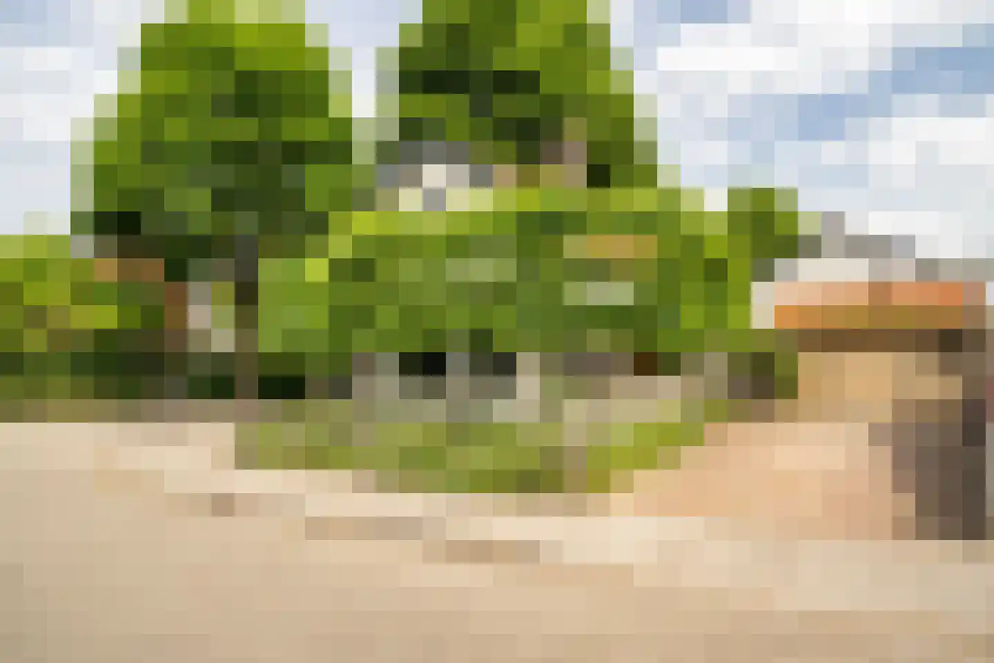 Zonstraat 52 Driebergen-Rijsenburg thumbnail 36