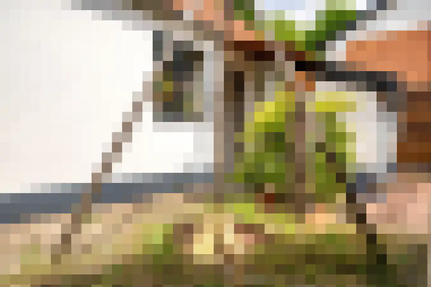 Zonstraat 52 Driebergen-Rijsenburg thumbnail 36