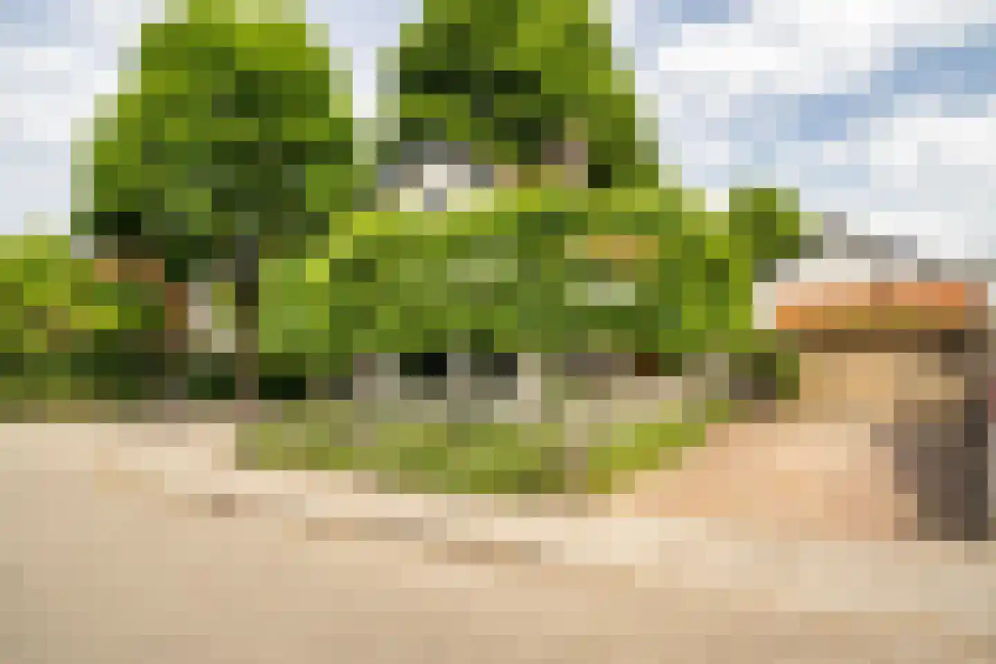 Zonstraat 52 Driebergen-Rijsenburg thumbnail 37