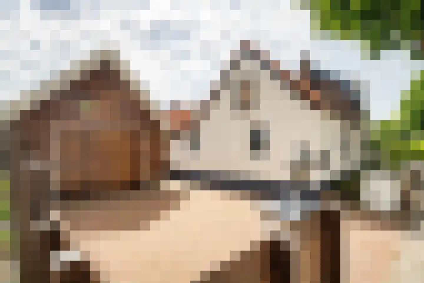Zonstraat 52 Driebergen-Rijsenburg thumbnail 39