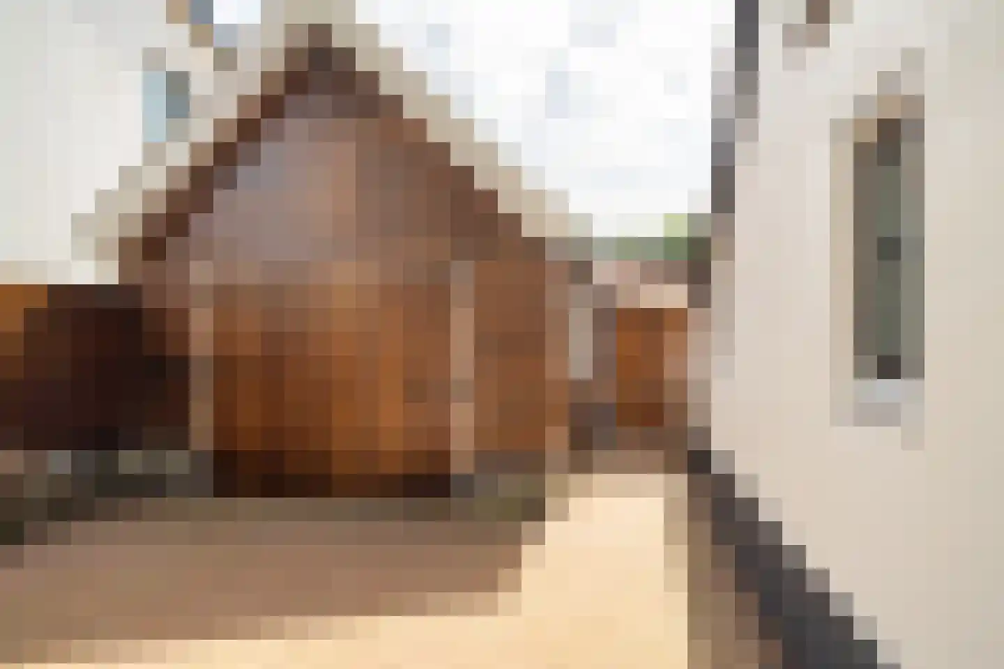 Zonstraat 52 Driebergen-Rijsenburg thumbnail 40